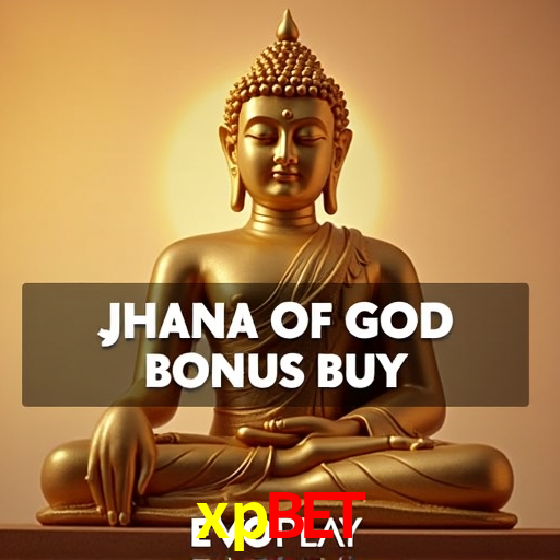 A Experiência Imersiva dos Cassinos Ao Vivo no xpbet